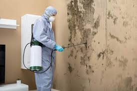 4 Things that Contribute to Mold Remediation Costs
