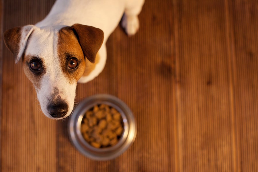 Midwestern Pet Foods Settlement Claim Reimbursement for Recalled Pet Food Purchases